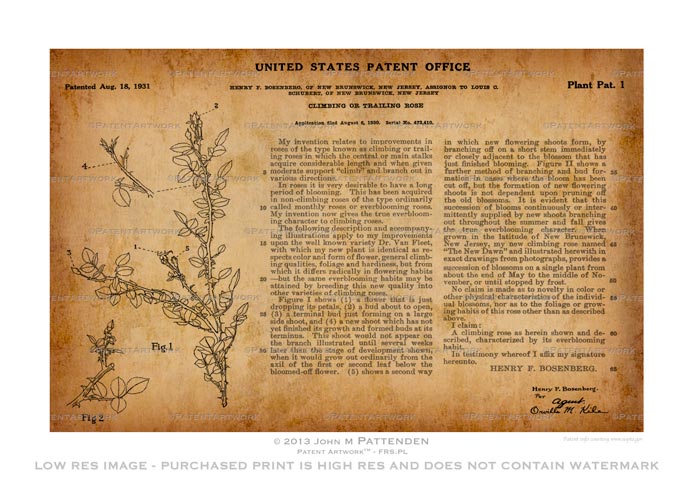 First Plant Patent Artwork Print