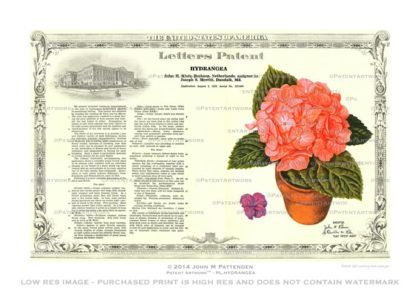 Plant - Hydrangea Patent Artwork Print