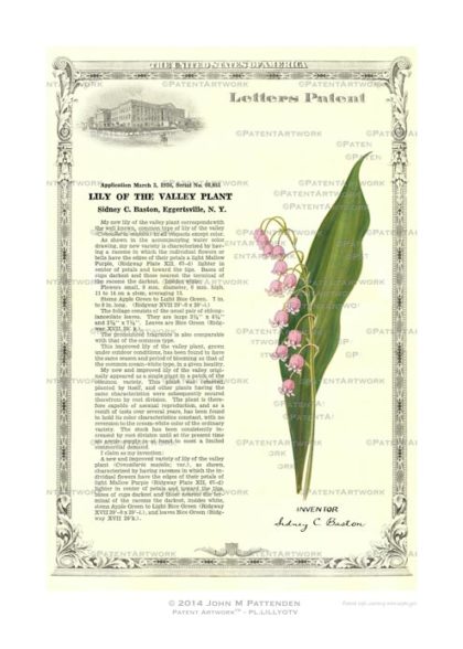 Plant Lily of the Valley Patent Artwork Print