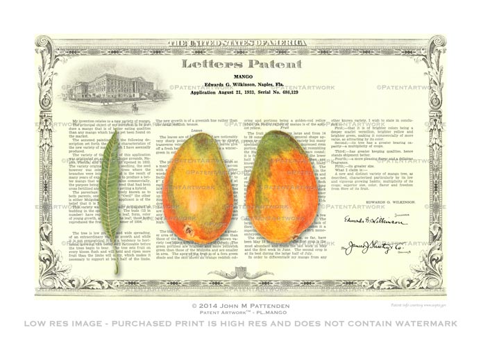 Plant - Mango Patent Artwork Print