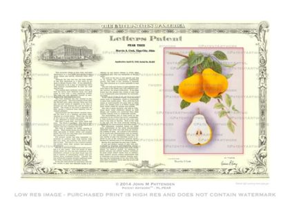 Plant - Pear Tree Patent Artwork Print