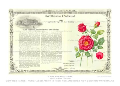 Plant - Rose Patent Artwork Print