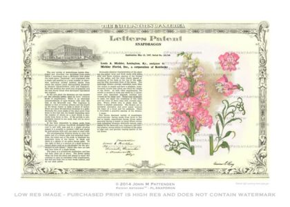 Plant - Snapdragon Patent Artwork Print